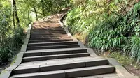 青城山徒步实拍天然图画3