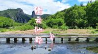 《与凤行》《仙剑》《庆余年》取景地｜缙云仙都一日游攻略