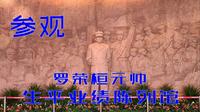 参观罗荣桓纪念馆，他是开国十大元帅之一，摘除肾脏仍忘我工作