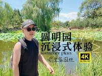 北京圆明园沉浸式体验 圆明园遗址公园深度游 带着pocket3游览圆明园 圆明园夏日荷花观赏季 圆明园最佳游览线路4K