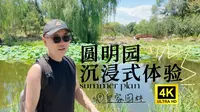 北京圆明园沉浸式体验 圆明园遗址公园深度游 带着pocket3游览圆明园 圆明园夏日荷花观赏季 圆明园最佳游览线路4K
