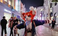 【直播回放】猫猫逛街：3月12、13日两天武汉江汉路步行街出毛（猫懒，无剪辑）