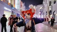 【直播回放】猫猫逛街：3月12、13日两天武汉江汉路步行街出毛（猫懒，无剪辑）
