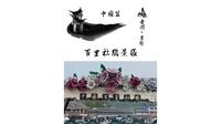 贵州省毕节市百里杜鹃景区！世界最大天然花园！享有地球彩带美誉！