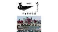 贵州省毕节市百里杜鹃景区！世界最大天然花园！享有地球彩带美誉！