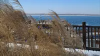 蓝天·白雪·碧水 长治漳泽湖国家城市湿地公园4K高清竖版