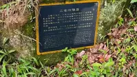 普陀山：二龟听法石
