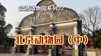 【云逛动物园系列】22.北京动物园（中）