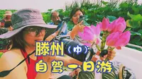 2025-09-05 与YCL滕州微山湖游（2）红荷湿地游船