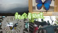 哈尔滨松峰山游记