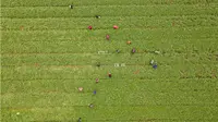 【Yangtze River】湖南益阳南县 罗文花海涂鸦村 洞庭湖 美丽乡村 ，买的白菜从哪里来？答案就在视频里， 大疆DJI air2航拍