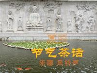 普陀山闲聊，宝陀讲寺风铃声#节气茶话#夏至#普陀山#宝陀讲寺