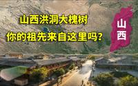寻根之地，山西洪洞大槐树，中国有多少姓氏是从这迁移过来的？