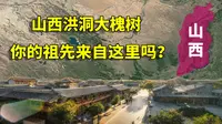 寻根之地，山西洪洞大槐树，中国有多少姓氏是从这迁移过来的？
