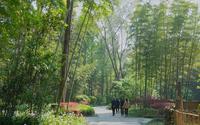 新津斑竹林#天下之大 与君同游