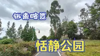 幽静去处-白鹤滩湿地公园
