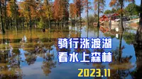 2023-骑行涨渡湖，看水上森林！