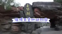 淄博玉黛湖动物园