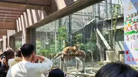 【动物园之旅】城市动物园的典范，上海动物园之旅（第二部分）