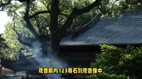 普陀山慧济禅寺全攻略，不上佛顶等于白来！