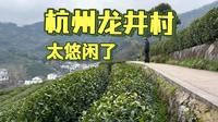 徒步在西湖龙井茶山之中，探访杭州龙井村。