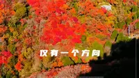潍坊•临朐•石门坊赏红叶