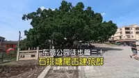 东莞公园徒步篇三十：石排 塘尾古建筑群