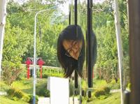 济南黄金谷山水画廊（漂流+滑道）