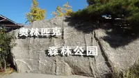 【Ted看世界】北京: 奥林匹克森林公园 (Olympic Forest Park, Beijing)