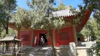 嵩山少林寺初祖庵大殿（殿前的六祖慧能手植柏枝繁叶茂）