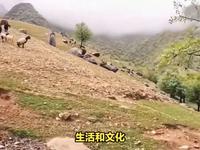 贺兰山国家森林公园游玩攻略