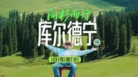 向杉而行，走进库尔德宁深处的森林秘境