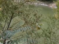 森栖谷一日游