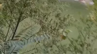 森栖谷一日游