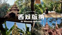 西双版纳vlog🦚 I 去西双版纳等于去过东南亚！I 在版纳过夏天吃傣味 I 星光夜市 I 雨林徒步 I 美食攻略