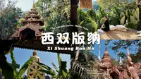 西双版纳vlog🦚 I 去西双版纳等于去过东南亚！I 在版纳过夏天吃傣味 I 星光夜市 I 雨林徒步 I 美食攻略