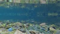 南山茶海景区action1试试水