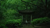 一到下雨天 虎跑公园就成了言叶之庭❗️
