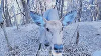 大连～白云山山体公园