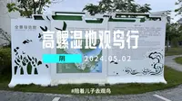 五一观鸟第二站，汕尾海丰高螺湿地公园
