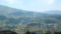 公弄是布朗族的世居地，是勐库最古老的村寨，是茶祖古濮人生活过的地方。 普洱茶山 少数民族 自然风景 山居生活