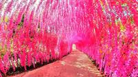眉山桂花湖徒步，夏天要来啦！