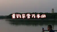 东营的钓鱼人好运气，民丰湖夜钓，免费垂钓环境还好