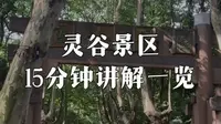 南京灵谷景区全网超全的一版15分钟讲解视频需要的可以收藏