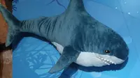 去了重庆汉海海洋公园