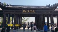 安徽•砀山梨树王景区