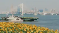 夏天劝退所有人，除了武昌江滩的向日葵