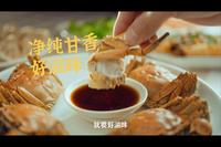 导演作品|侨新1950永春老醋《好滋味》