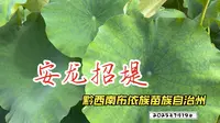 2025年7月19日（星期六） 黔西南布依族苗族自治州安龙县安龙招堤