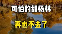 可怕的胡杨林，再也不去了，在网上看到的，这样的，这样的，这样的，决定亲自去看看，懒得做攻略了，报了朋友推荐的结伴游#额济纳旗胡杨林 #内蒙古旅游